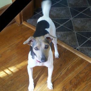 Meet your Posher, Cheryl